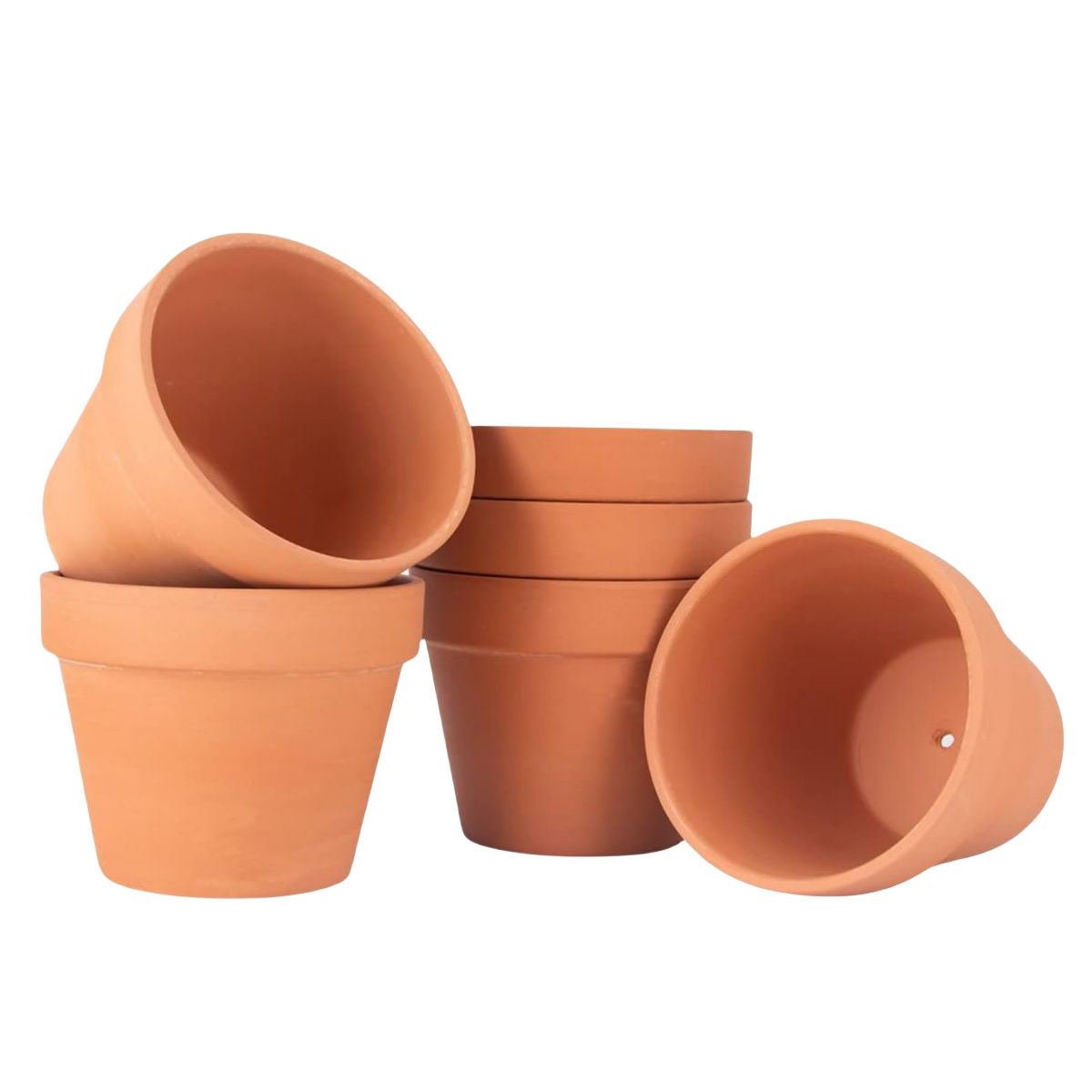 6 ชิ้น 4 นิ้ว Terracotta Pots  - Echeveria Succulent บทวิจารณ์และราคา