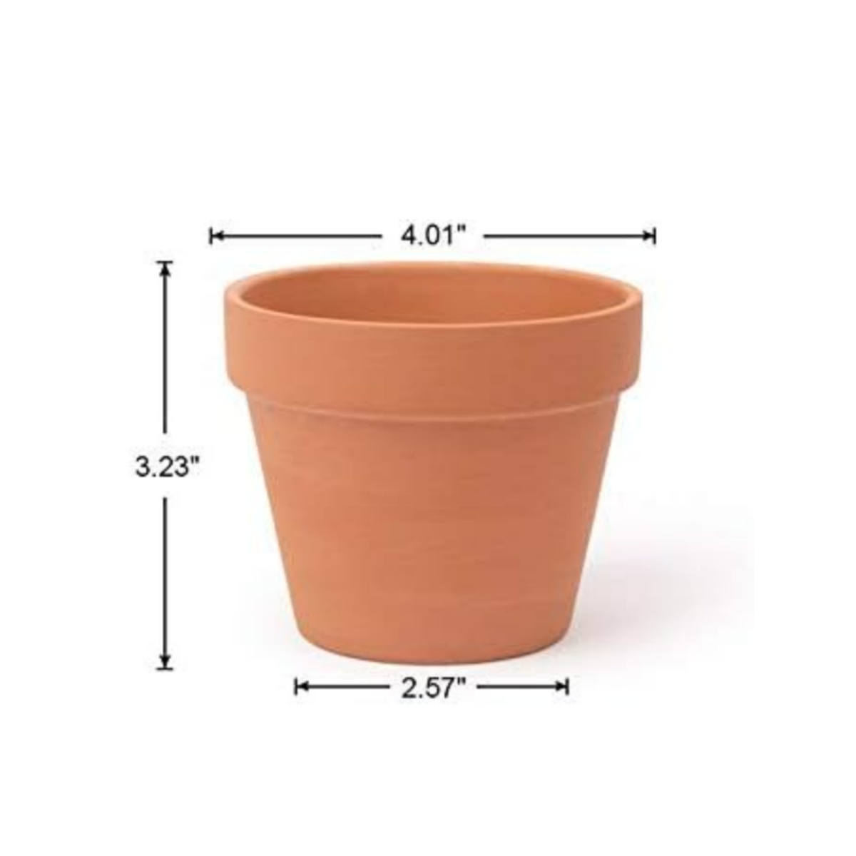 6 ชิ้น 4 นิ้ว Terracotta Pots  - Echeveria Succulent บทวิจารณ์และราคา