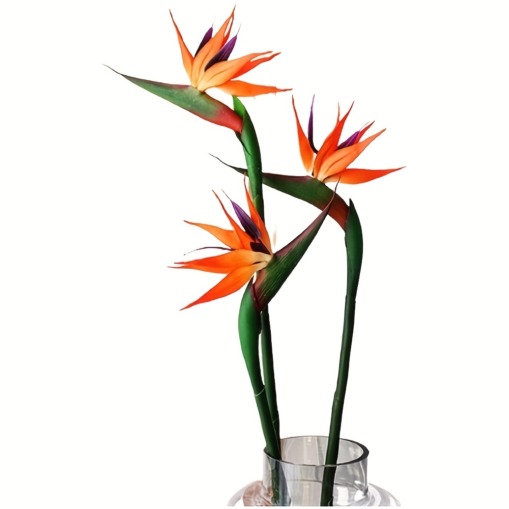 3pcs ประดิษฐ์ Bird Of Paradise - Bird Paradise Strelitzia บทวิจารณ์และราคา