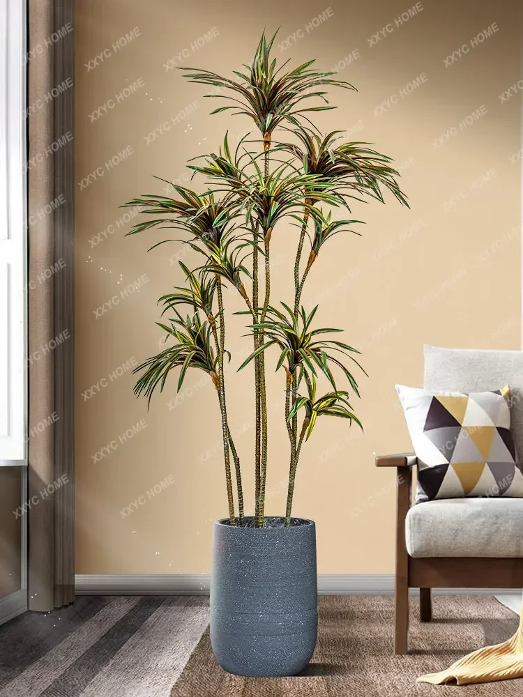 ต้นไม้จำลอง ดรากีน่า ดรากีน่า  - Dracaena Marginata บทวิจารณ์และราคา