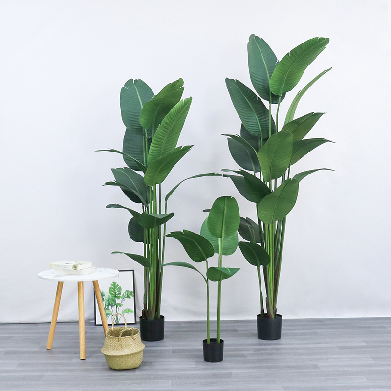 กระถางต้นไม้พลาสติกเทียม ​ ปลู - Bird Paradise Strelitzia บทวิจารณ์และราคา