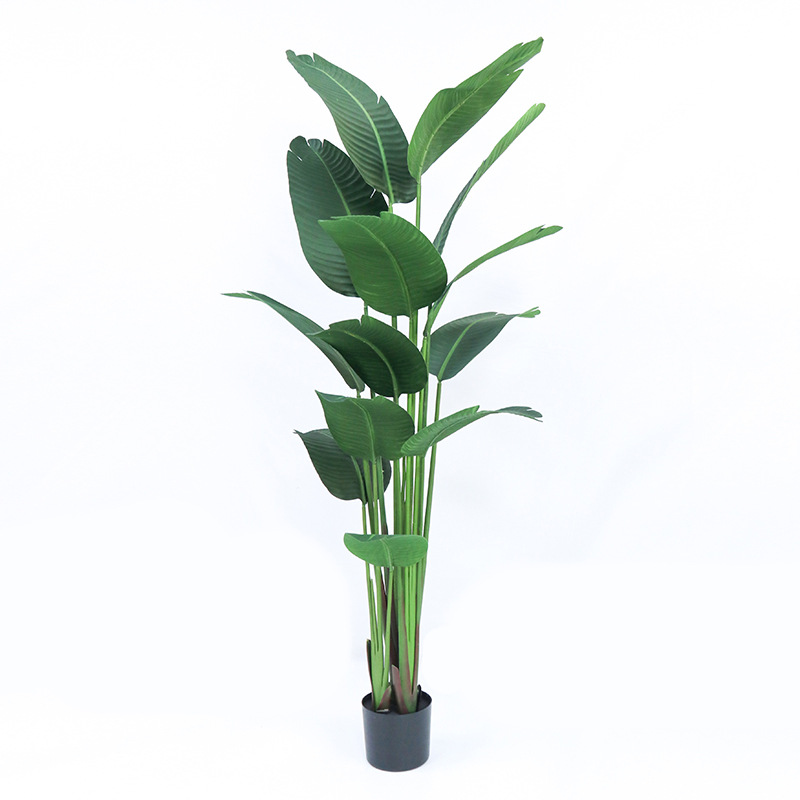 กระถางต้นไม้พลาสติกเทียม ​ ปลู - Bird Paradise Strelitzia บทวิจารณ์และราคา