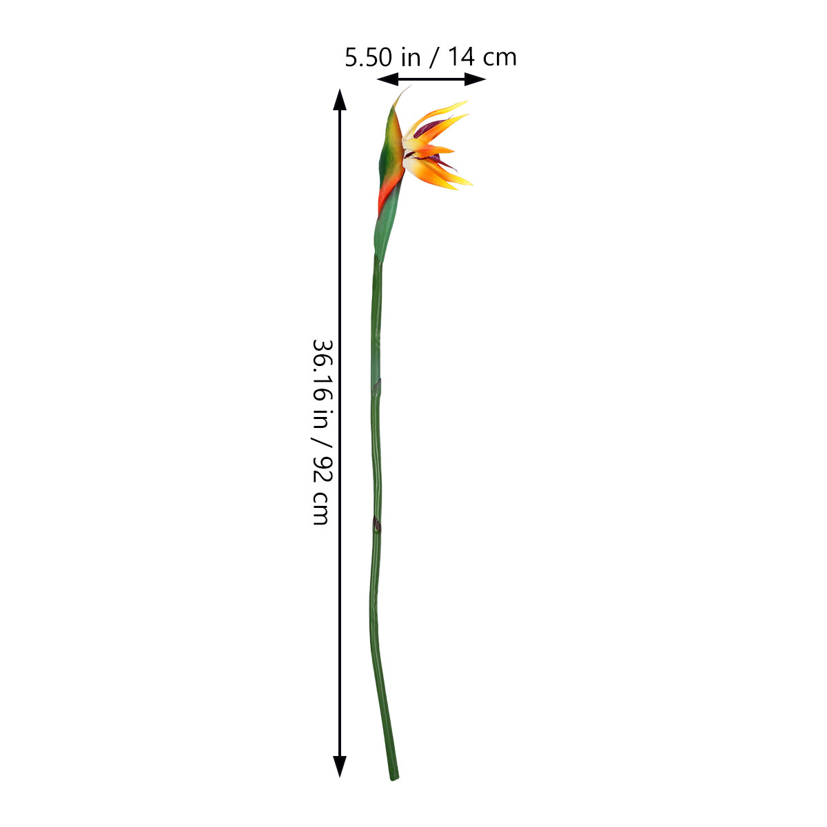 ต้นไม้ประดิษฐ์เบิร์ดออฟพาราไดซ - Bird Paradise Strelitzia บทวิจารณ์และราคา