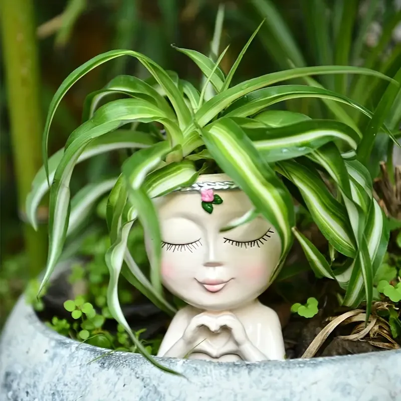 กระถางเรซิ่นรูปหัวผู้หญิงสำหรั - Echeveria Succulent บทวิจารณ์และราคา