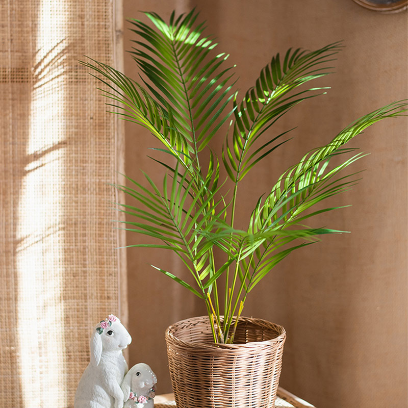 ต้นปาล์มประดิษฐ์ขนาดใหญ่ 125 ซ - Dracaena Marginata บทวิจารณ์และราคา