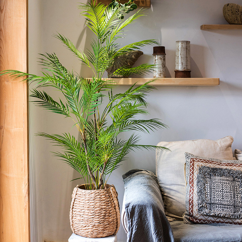ต้นปาล์มประดิษฐ์ขนาดใหญ่ 125 ซ - Dracaena Marginata บทวิจารณ์และราคา